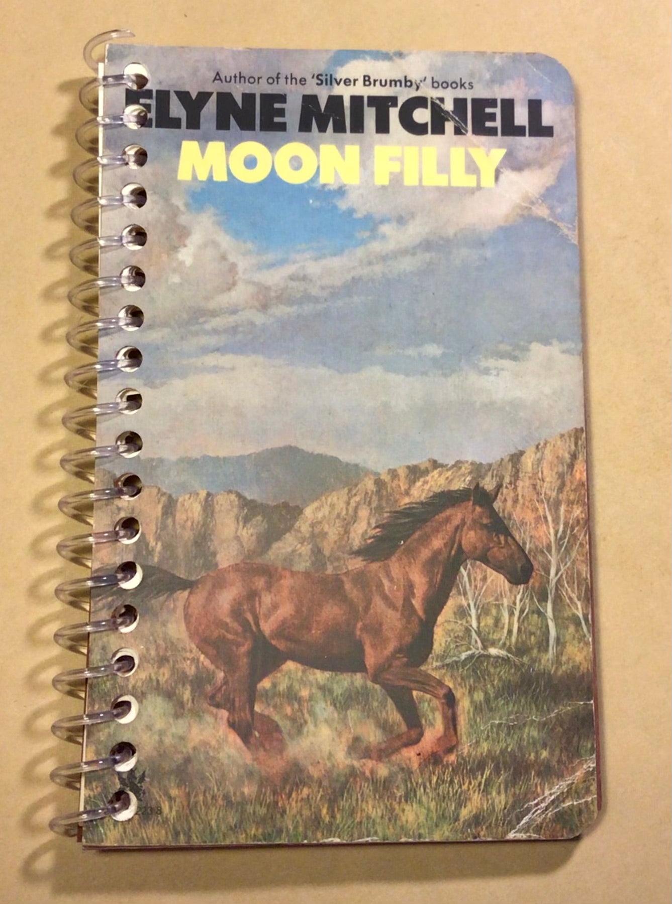 Paperback cover slimline notebook.