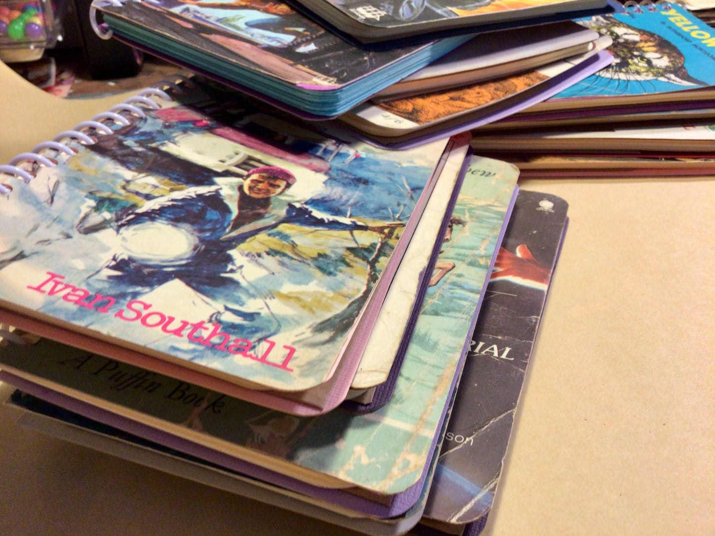 Paperback cover slimline notebook.