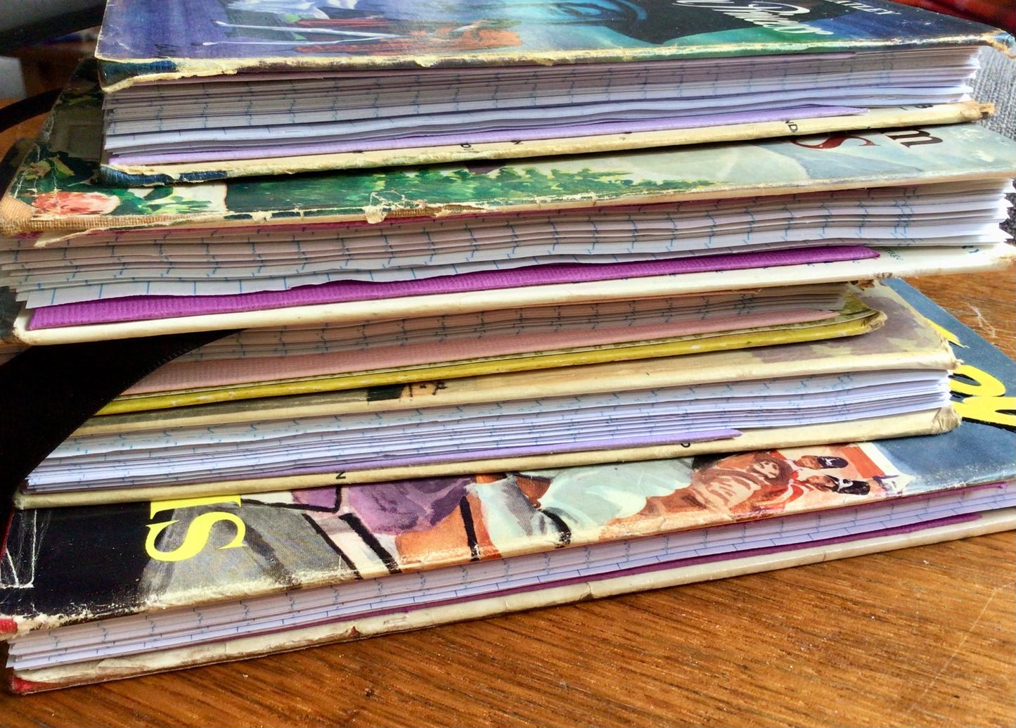 The Girl from Chinooks book cover notebook.