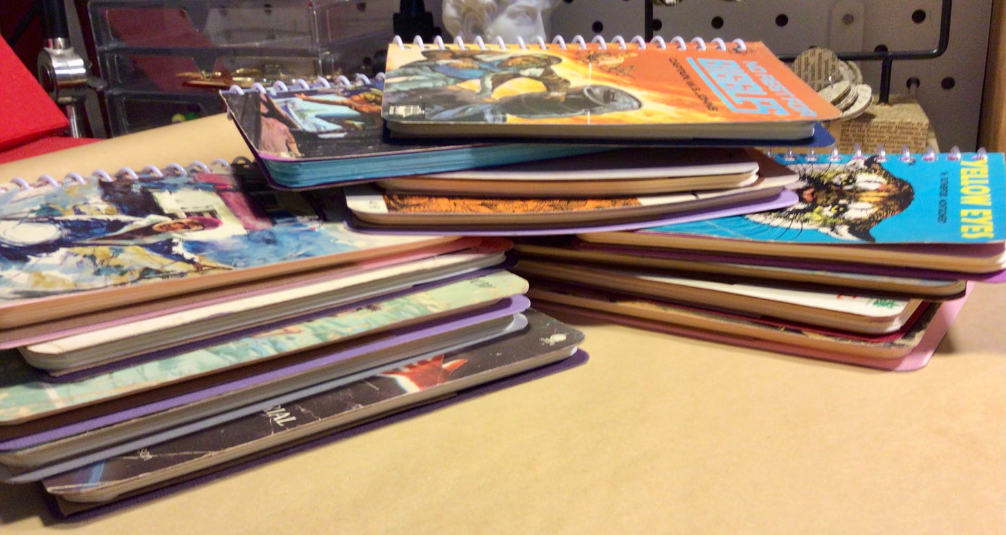 Paperback cover slimline notebook.