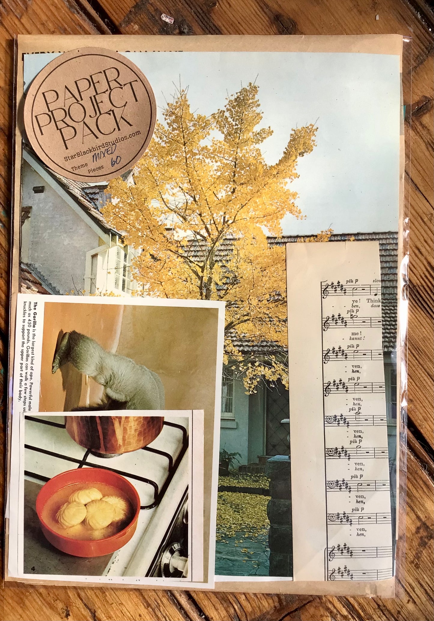 Paper Project Pack