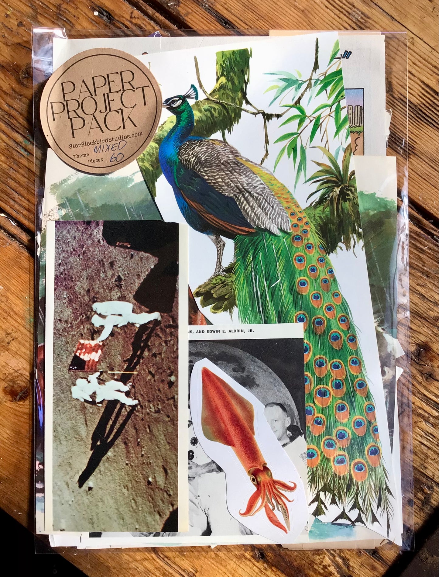 Paper Project Pack