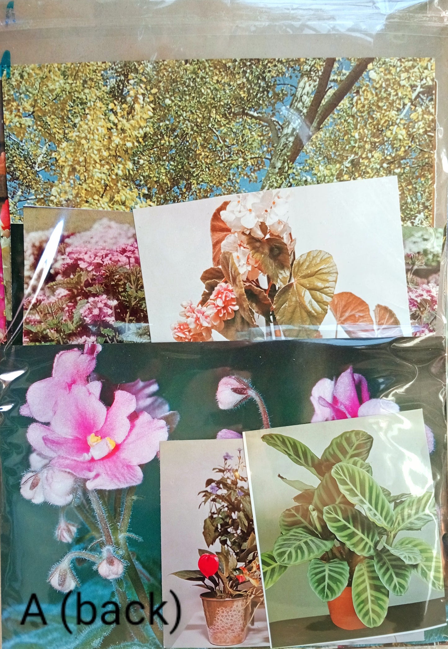 Paper Project Pack FLOWERS