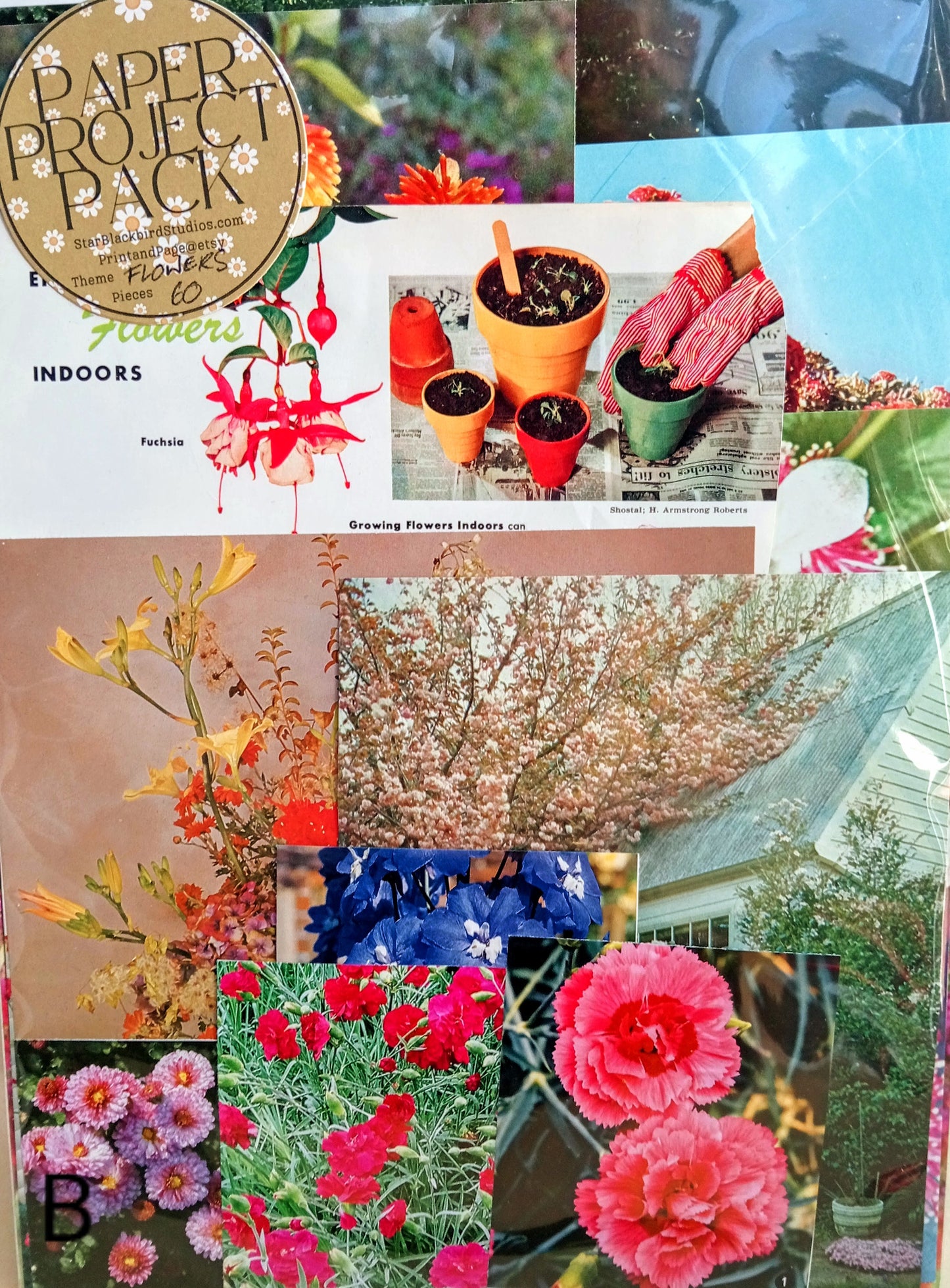 Paper Project Pack FLOWERS