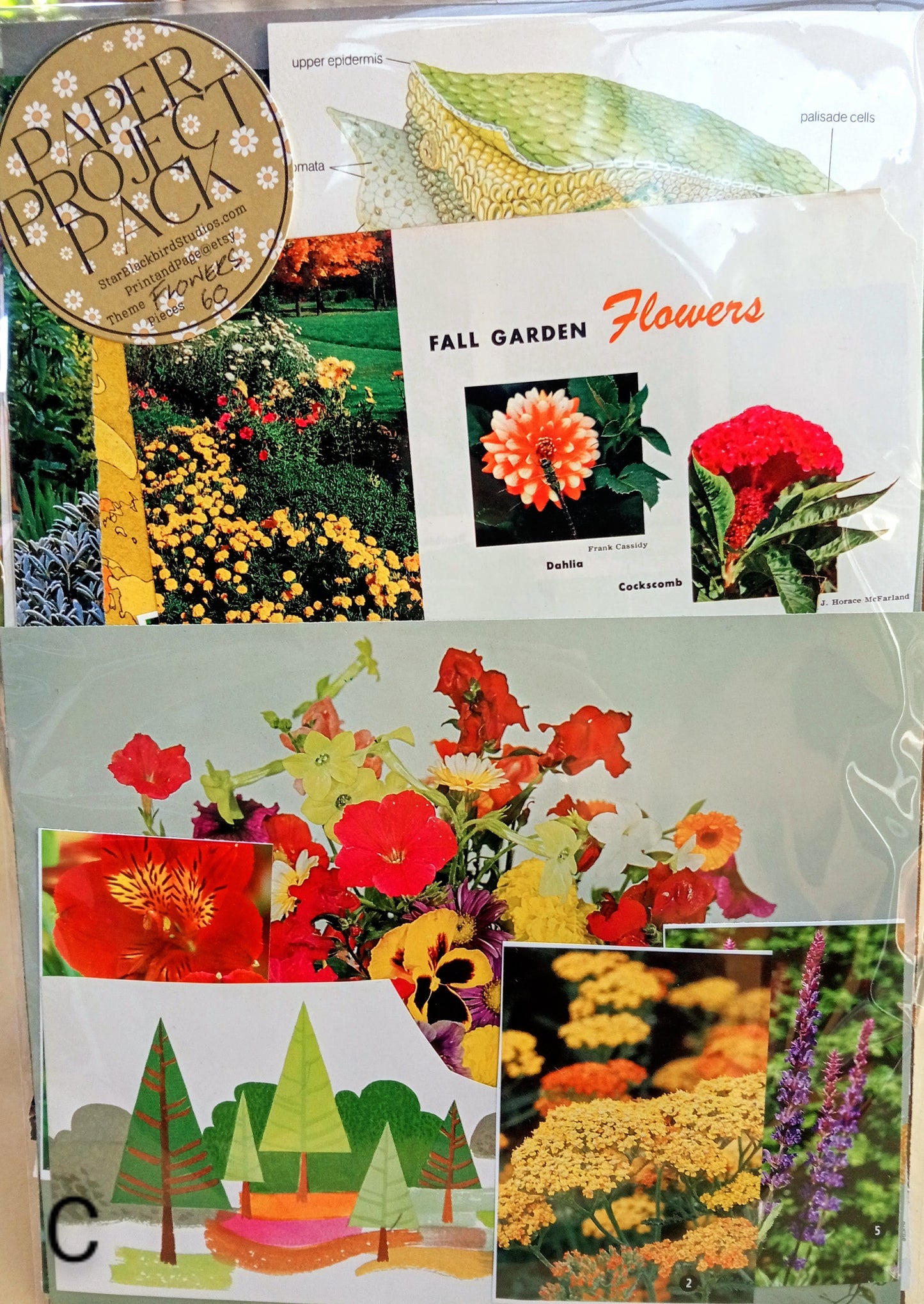 Paper Project Pack FLOWERS