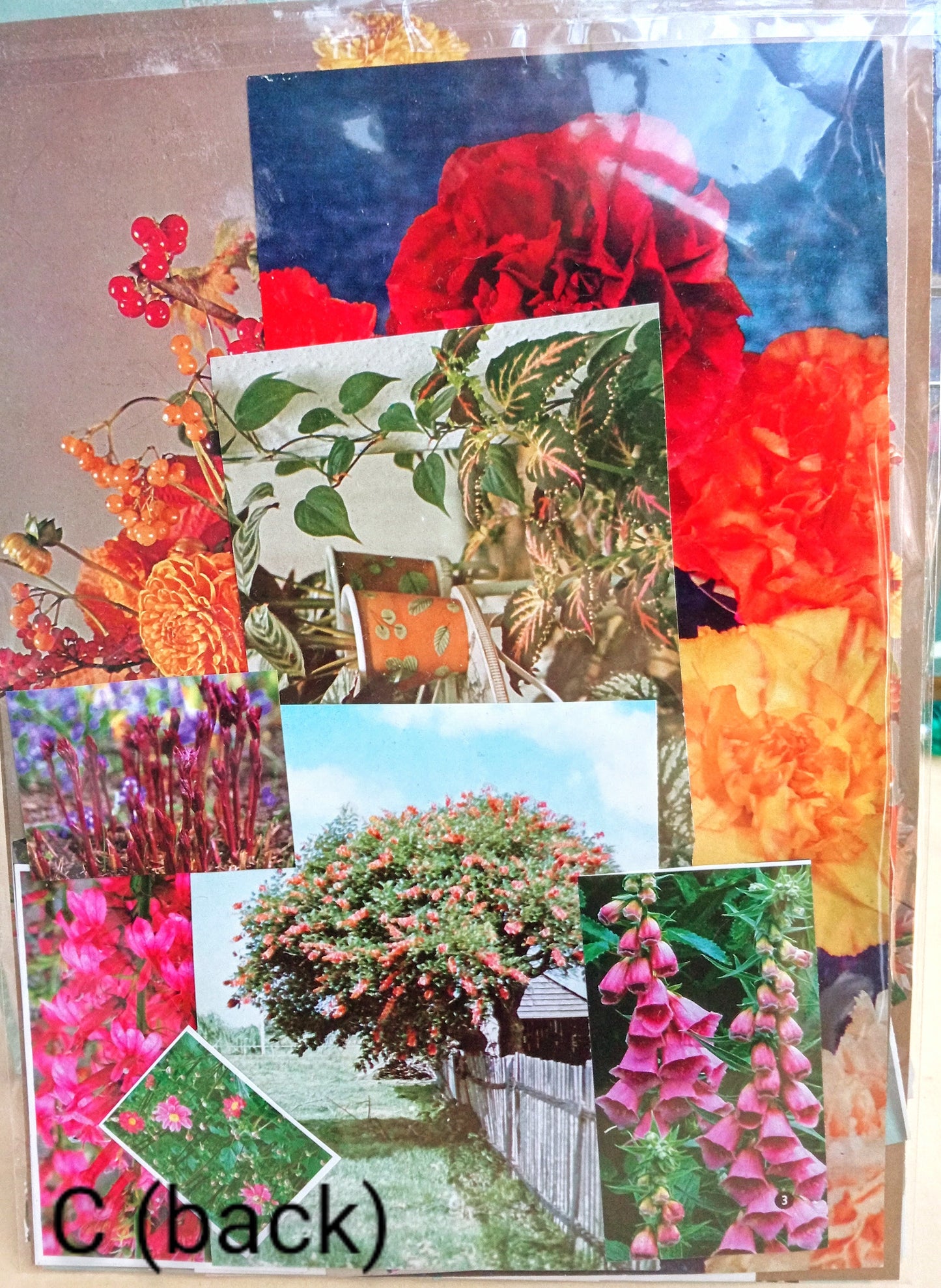 Paper Project Pack FLOWERS