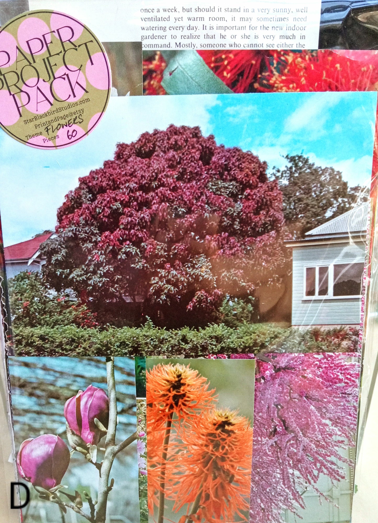Paper Project Pack FLOWERS