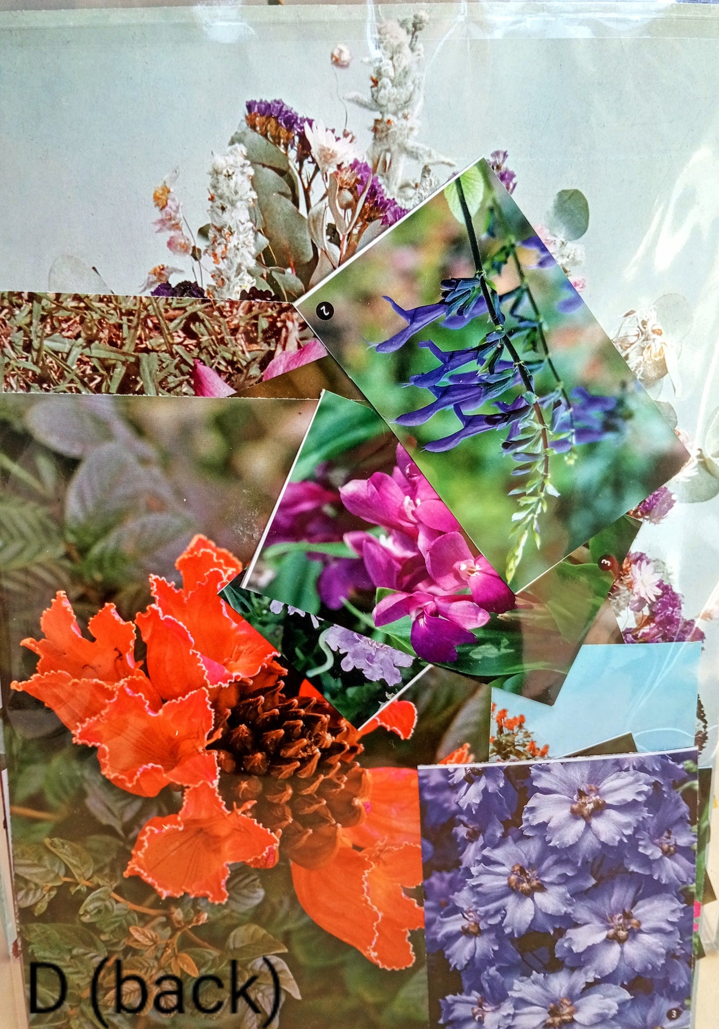 Paper Project Pack FLOWERS