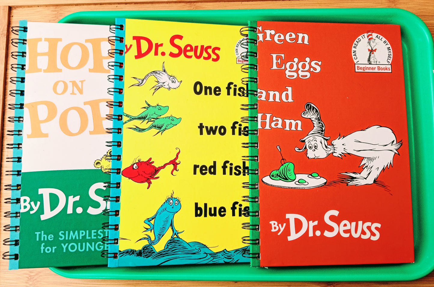 Dr Seuss Journal