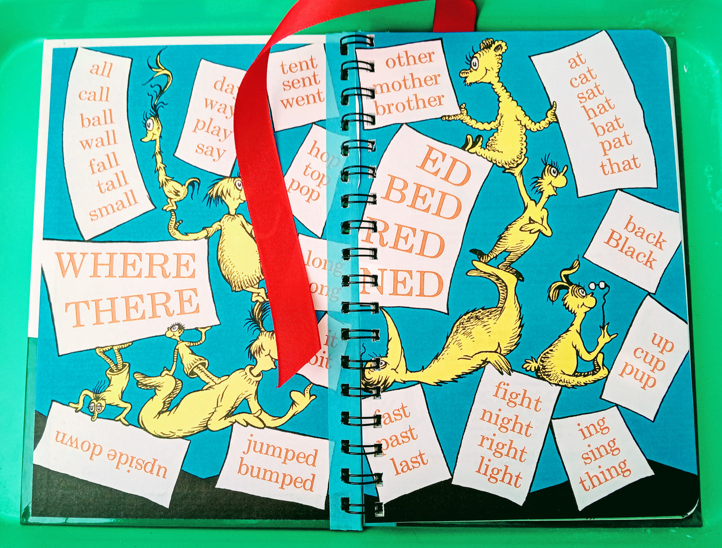 Dr Seuss Journal