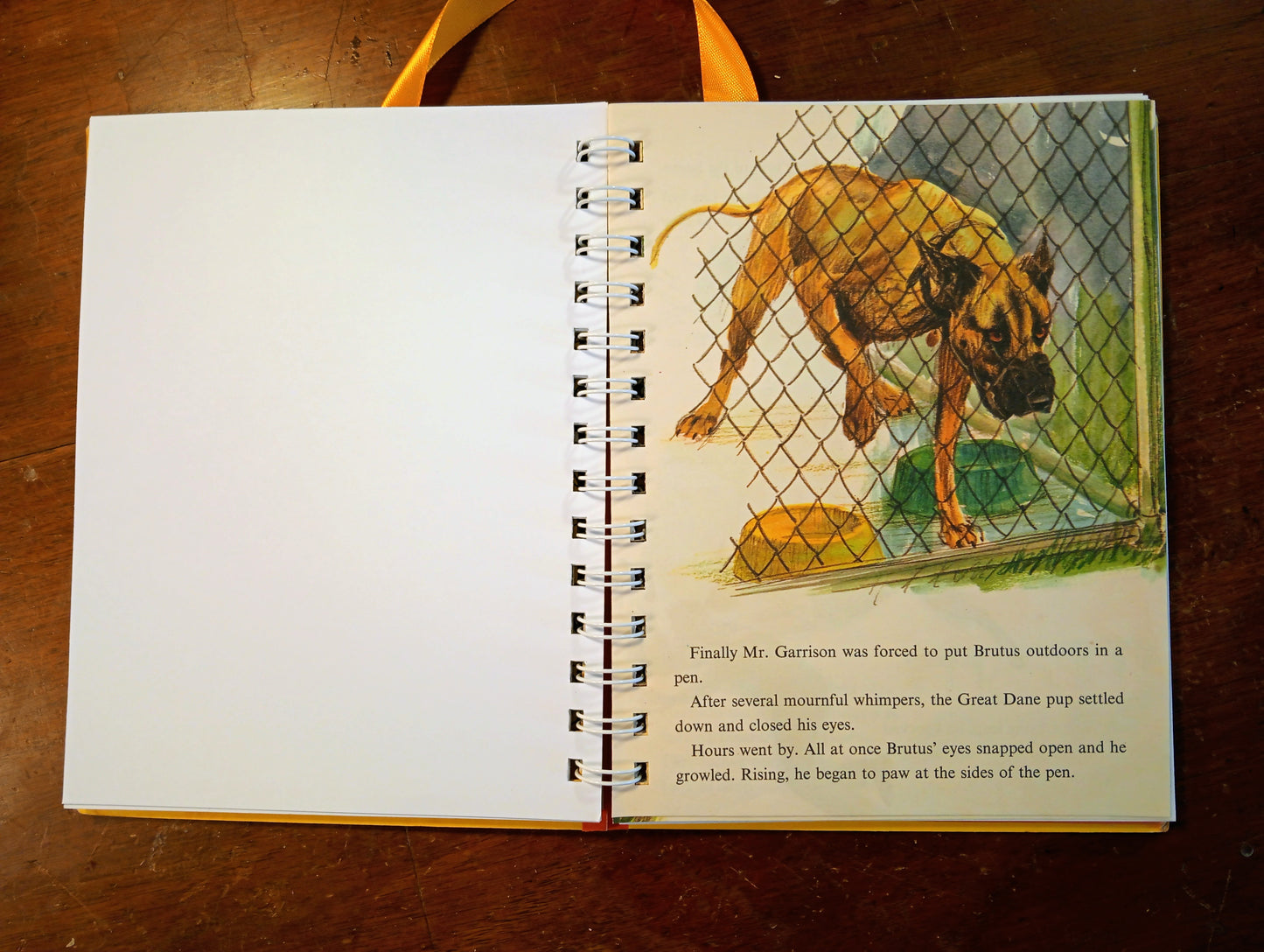Blank Journal