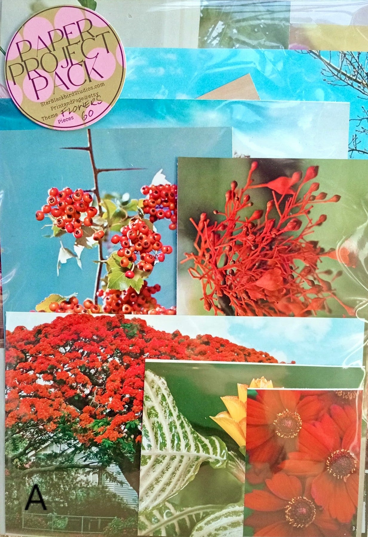 Paper Project Pack FLOWERS