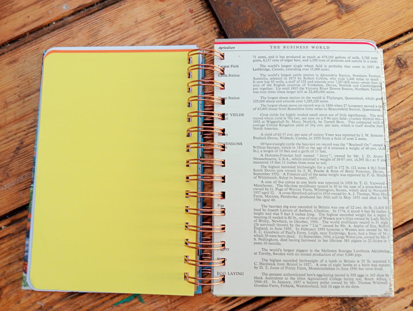 Large Scrappy Journal