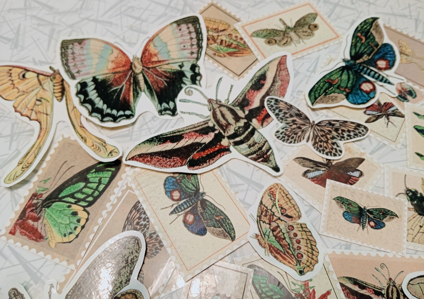 Things with Wings