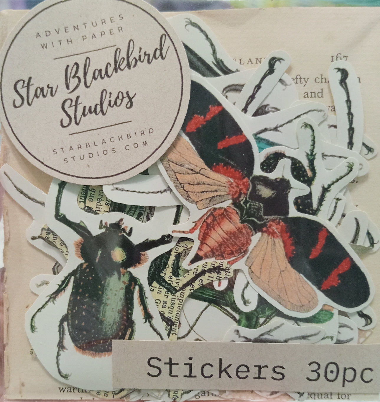Beetles and Bugs