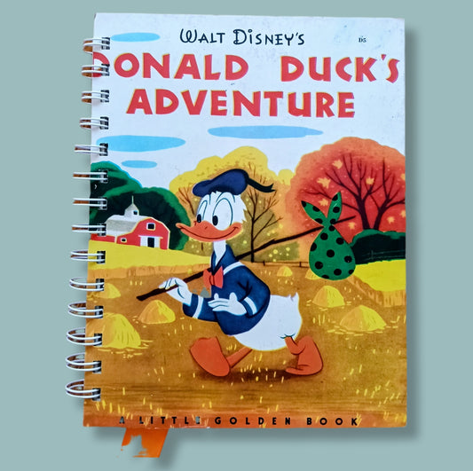 Storybook journal with original story