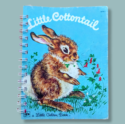 Storybook journal with original story