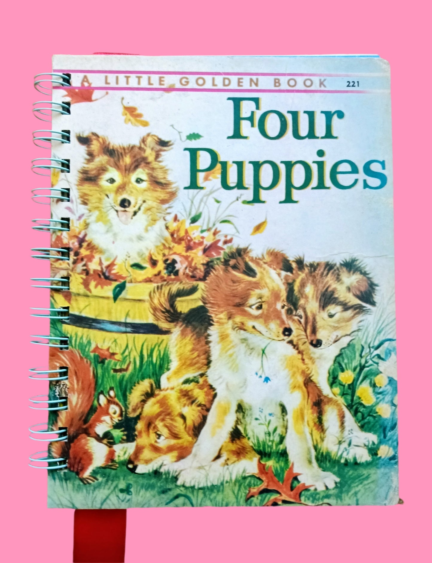 Storybook journal with original story