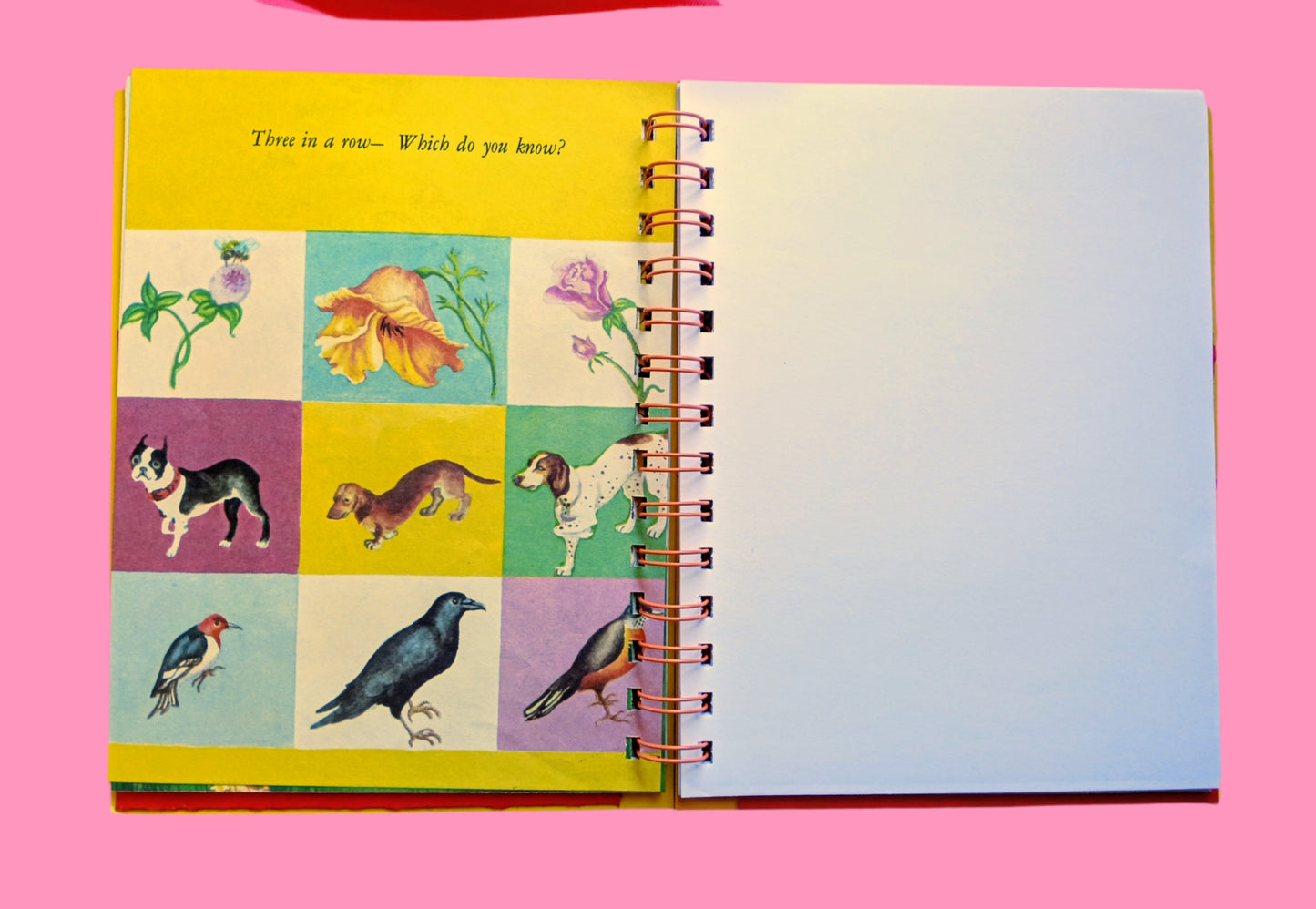 Storybook journal with original story