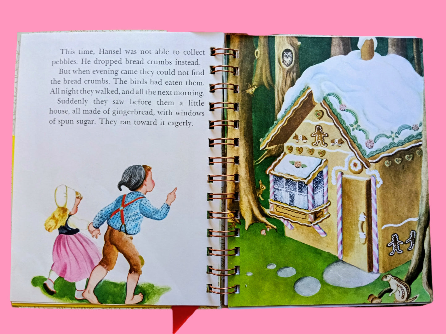 Storybook journal with original story