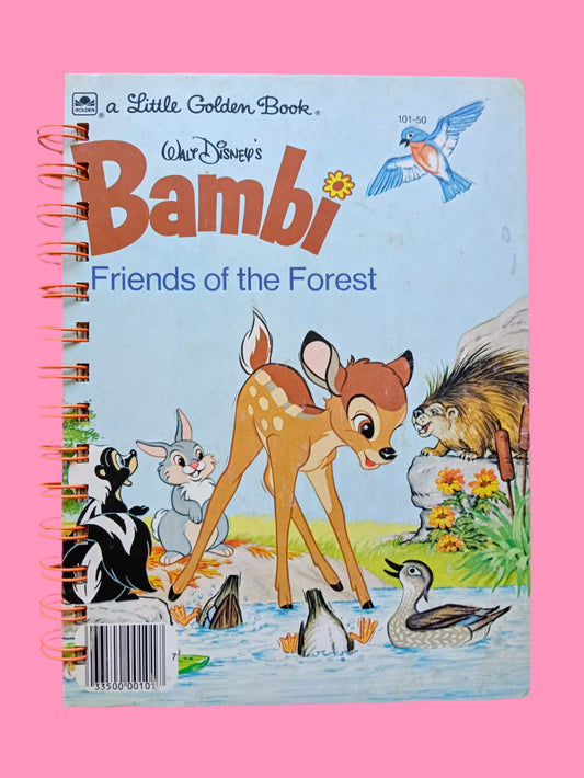 Storybook journal with original story