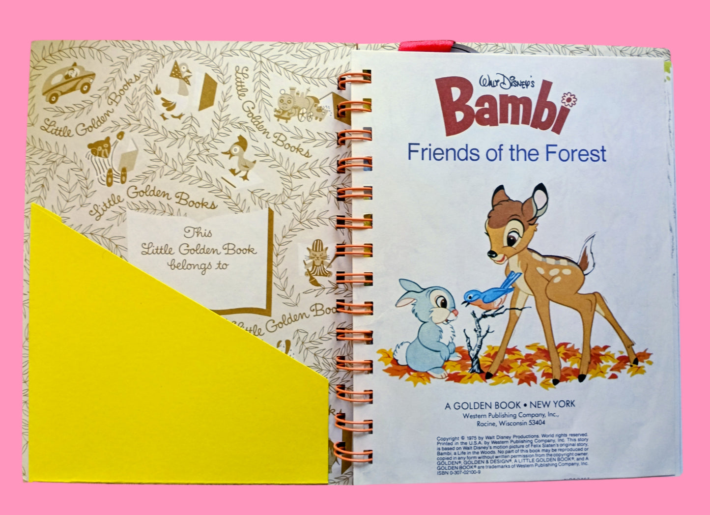 Storybook journal with original story